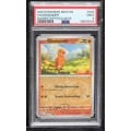 Pokemon Scarlet & Violet - 151 (MEWEN) Reverse Foil Charmander PSA 9 MINT